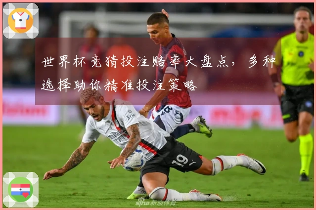 世界杯竞猜投注赔率大盘点，多种选择助你精准投注策略