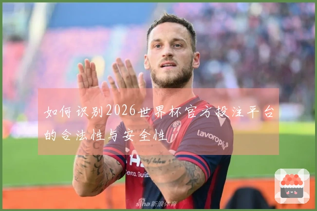 如何识别2026世界杯官方投注平台的合法性与安全性