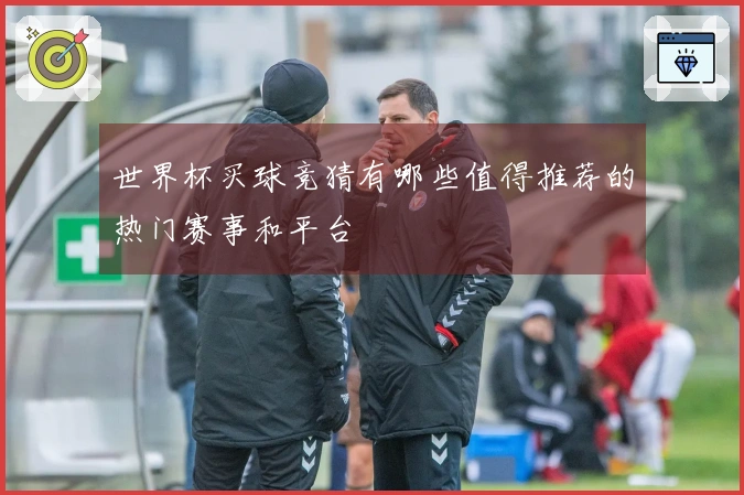世界杯买球竞猜有哪些值得推荐的热门赛事和平台
