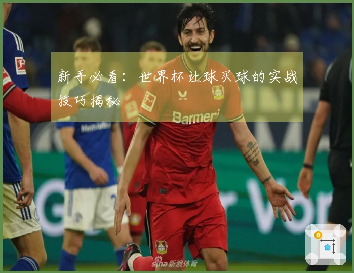 新手必看:世界杯让球买球的实战技巧揭秘