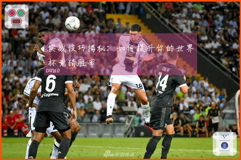 实战技巧揭秘:如何提升你的世界杯竞猜胜率