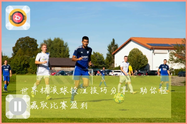 世界杯滚球投注技巧分享，助你轻松赢取比赛盈利