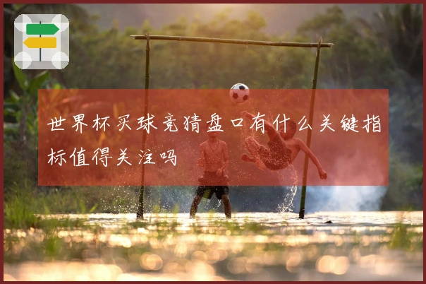 世界杯买球竞猜盘口有什么关键指标值得关注吗