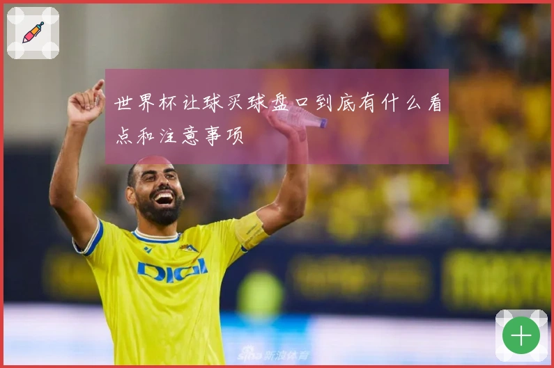 世界杯让球买球盘口到底有什么看点和注意事项