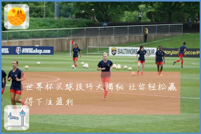 世界杯买球技巧大揭秘 让你轻松赢得下注盈利
