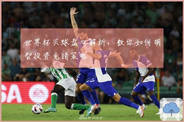 世界杯买球盘口解析，教你如何明智投资竞猜策略