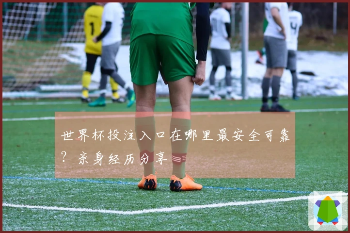 世界杯投注入口在哪里最安全可靠?亲身经历分享