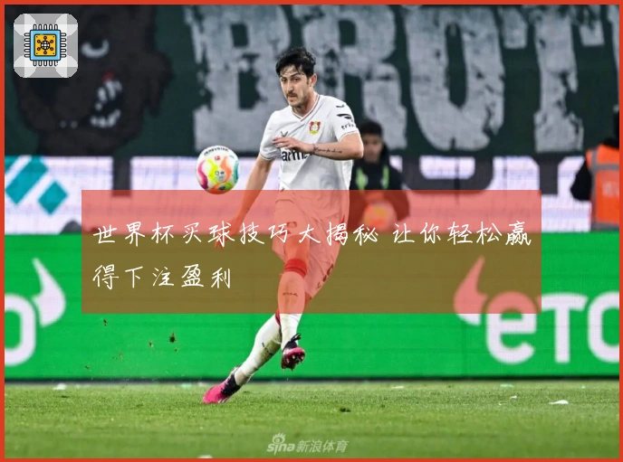 世界杯买球技巧大揭秘 让你轻松赢得下注盈利