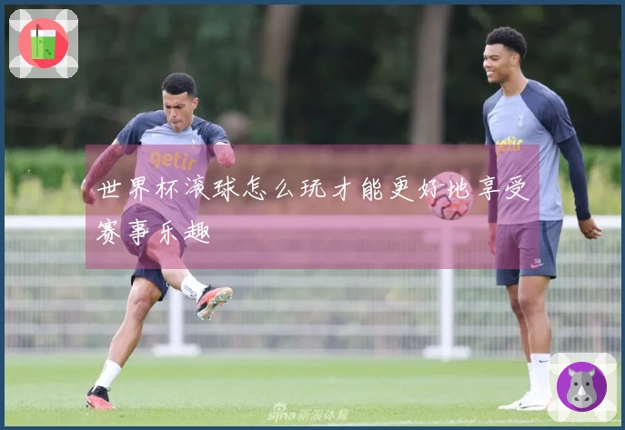 世界杯滚球怎么玩才能更好地享受赛事乐趣