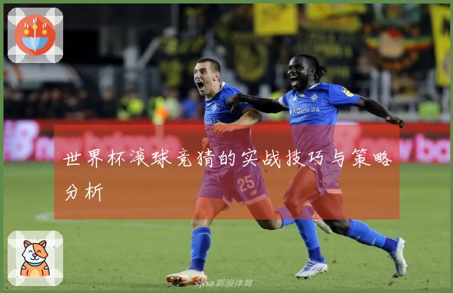 世界杯滚球竞猜的实战技巧与策略分析