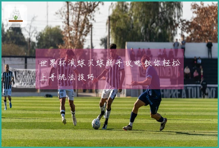 世界杯滚球买球新手攻略教你轻松上手玩法技巧