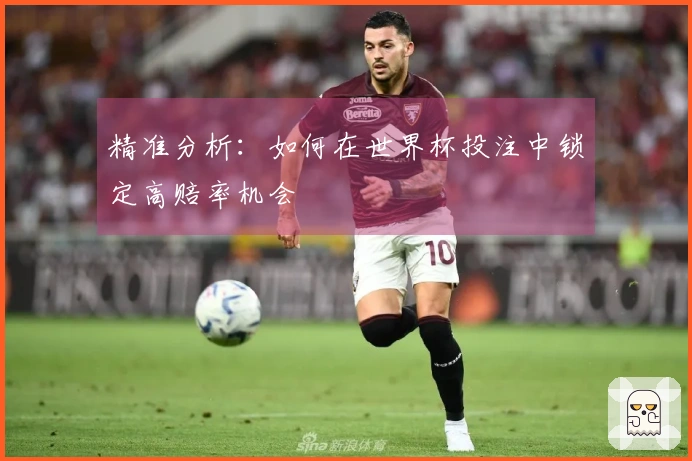 精准分析：如何在世界杯投注中锁定高赔率机会