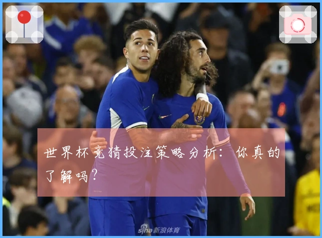 世界杯竞猜投注策略分析：你真的了解吗？