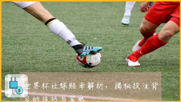 世界杯让球赔率解析，揭秘投注背后的技巧与策略