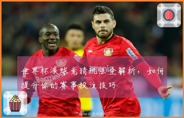 世界杯滚球竞猜玩法全解析，如何提升你的赛事投注技巧