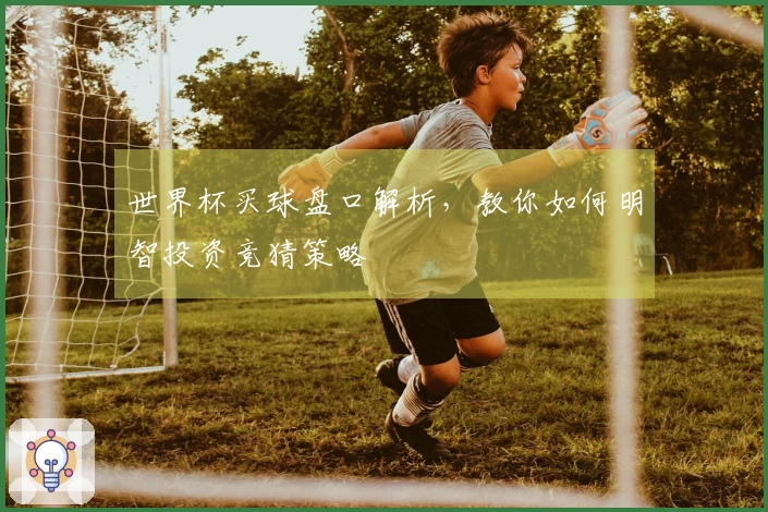 世界杯买球盘口解析，教你如何明智投资竞猜策略
