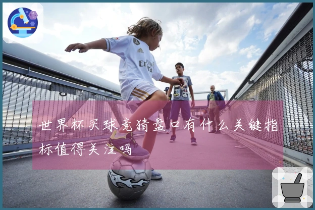 世界杯买球竞猜盘口有什么关键指标值得关注吗