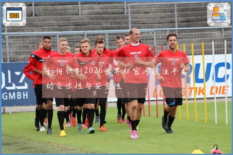 如何识别2026世界杯官方投注平台的合法性与安全性